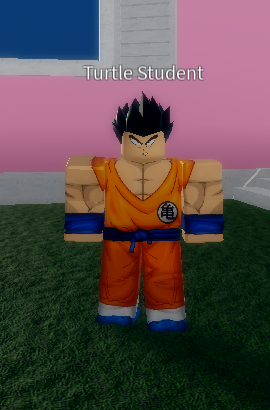 Turtle Student